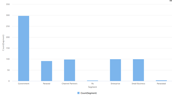 Segment Analysis